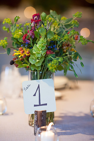 Wedding Reception The Barn at Valhalla Chapel Hill NC